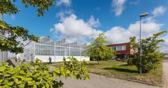 AI������s��ȥ�r��