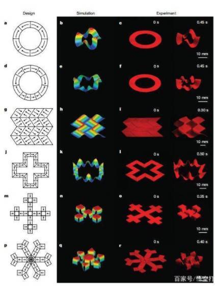 3D打印軟體機器人,3D打印服務應用越來越廣!