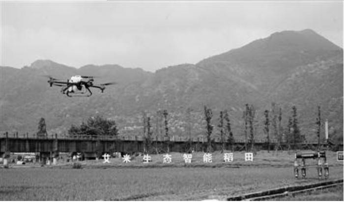 �㽭�ׂ�5G�ǻ��r�I�Ͼ� �C����Ѳ��o�˙C����