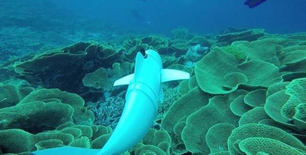 ��˼�O�֣�δ���㿴�����@Щ������ܶ��ǙC���ˣ�